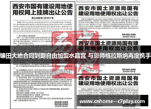 镰田大地合同到期自由加盟水晶宫 与恩师格拉斯纳再度携手